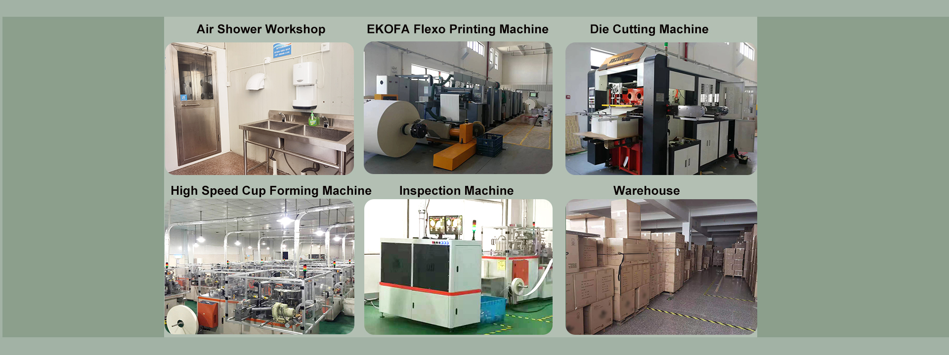 we are master，we are free birds